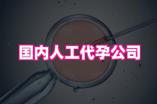 福建助孕网 2