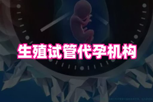 福建助孕网 3